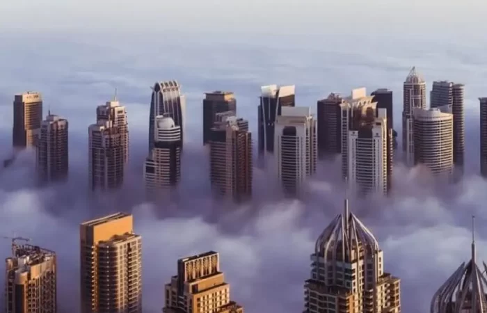 شرکت دانوب در امارات