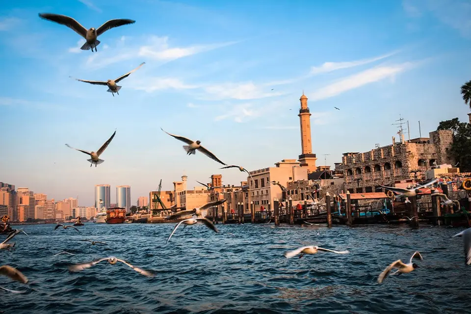 سرمایه‌گذاری مطمئن در دیره دبی